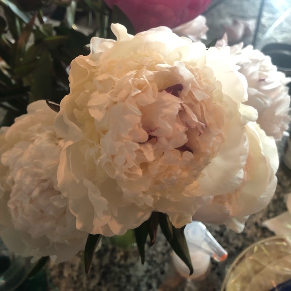 Meet your Posher, Brooke - Picture 1 of 1